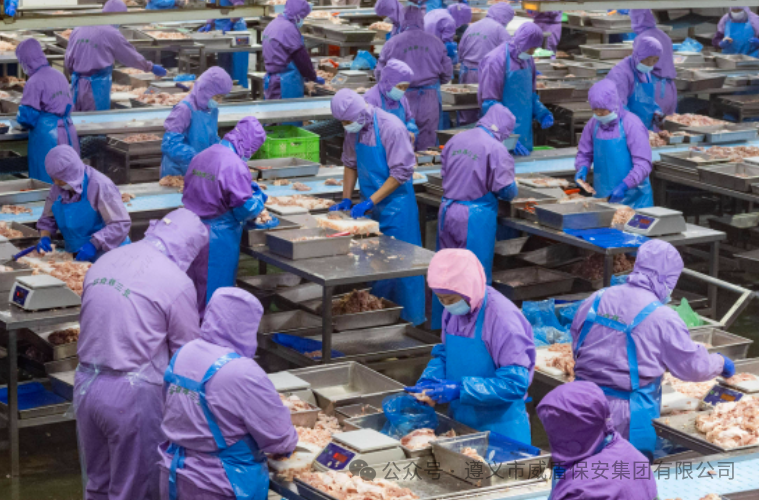 59_1760406089276916504.png e7a8be56b0a48c4b59a498b1ce00f654.png